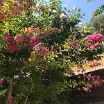 Appartement Sur La Colline Avec Acces Piscine