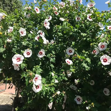 Sur La Colline Avec Accès Piscine Appartamento *