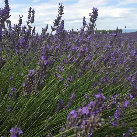 Sur La Colline Avec Accès Piscine Appartamento