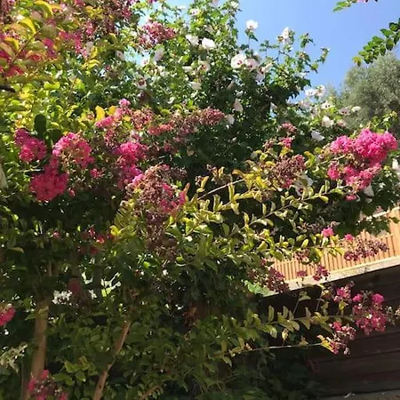 Appartamento Sur La Colline Avec Accès Piscine