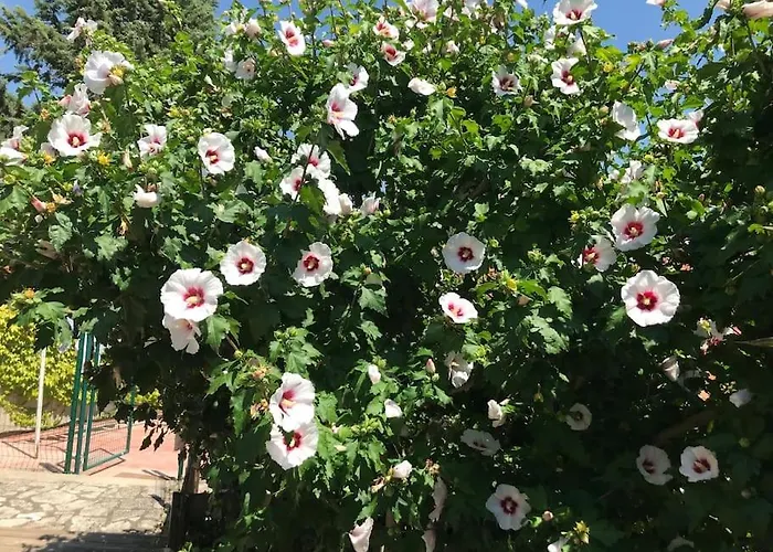 Sur La Colline Avec Acces Piscine Apartment *