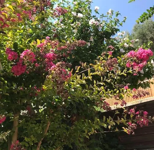 Apartment Sur La Colline Avec Acces Piscine